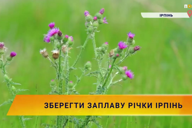 Новини України - 99f55cc6-48ba-4ec1-8c8d-d4baba121b6e - зображення